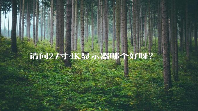 请问27寸4K显示器哪个好呀？